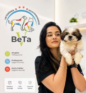 Ana Sayfa 21615737 52b2 4e39 81cf ab15812400bf